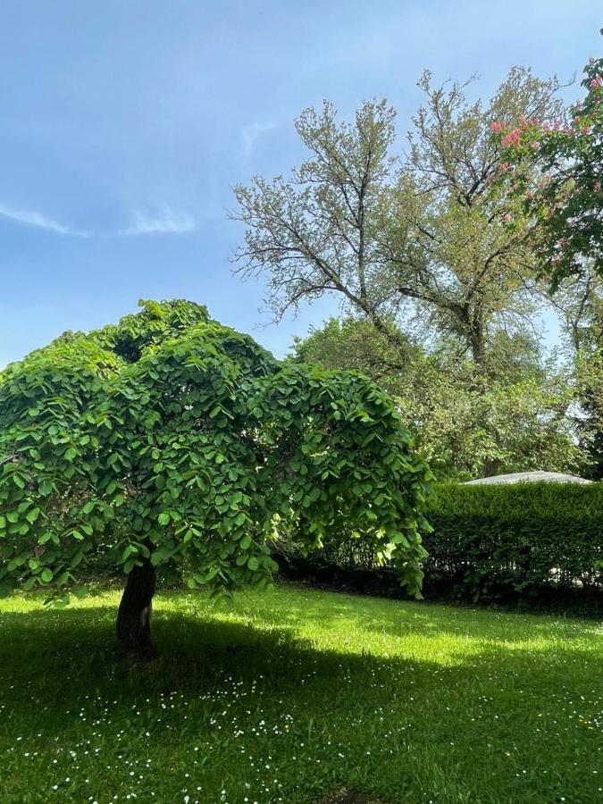 Villa Mura Gite Luxe Avec Piscine Et Spa Campagne Et Grand Air Nouvelle Aquitaine Correze Neuvic  Eksteriør bilde